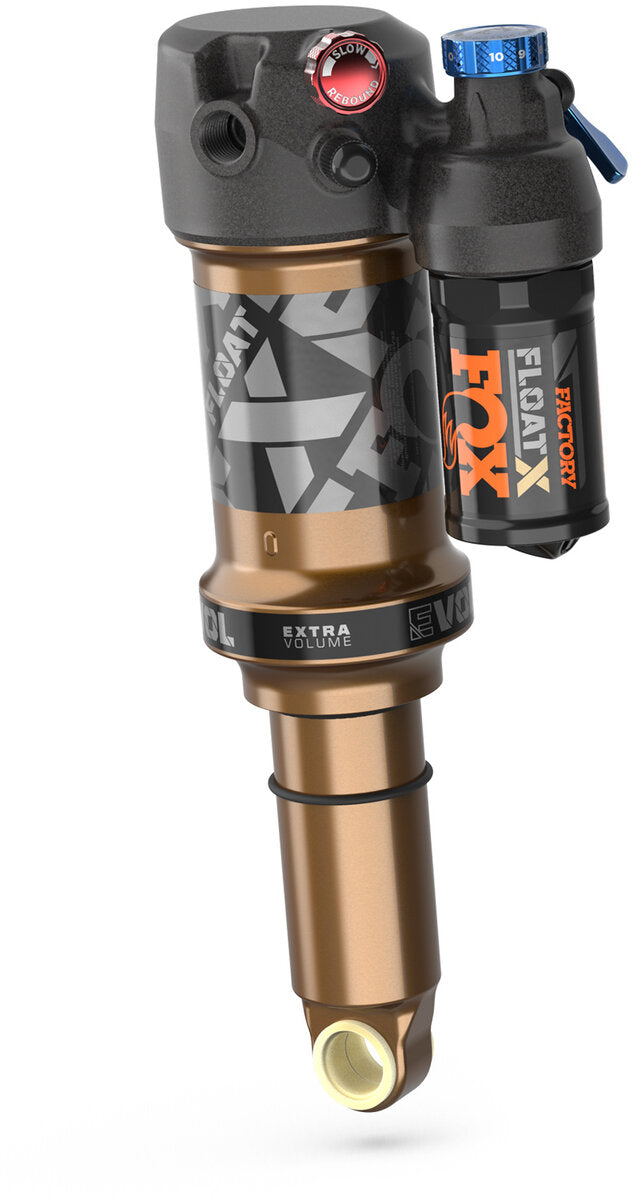 Factory FLOAT X - 2022