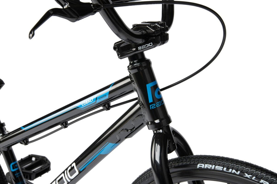 Cobalt Junior - 2021
