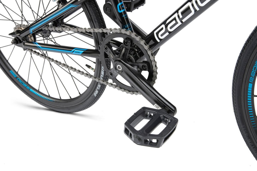 Cobalt Junior - 2021